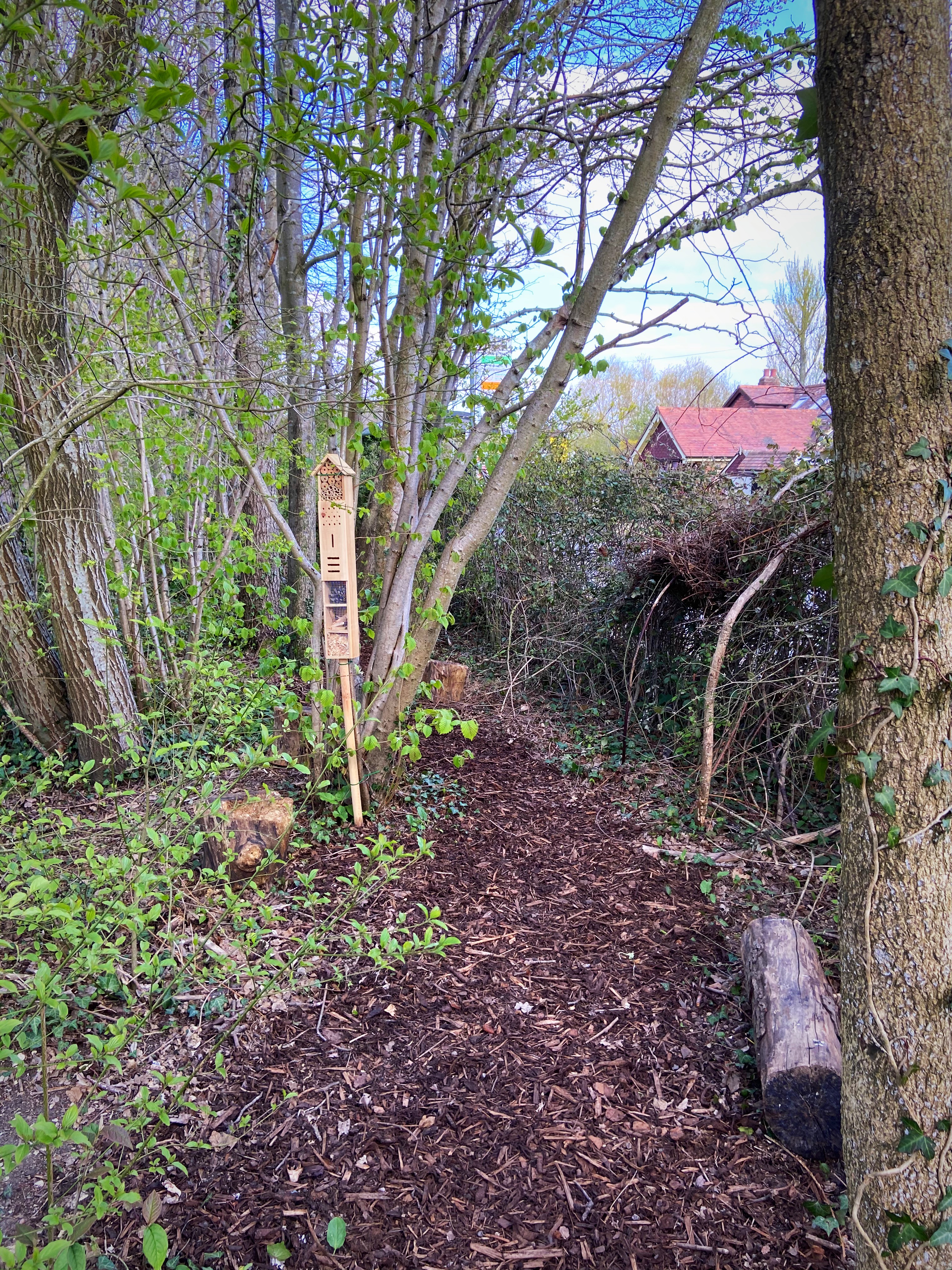 A Woody Walk has been created on the school grounds to allow children to surround themselves with nature and realise how to appreciate and respect it