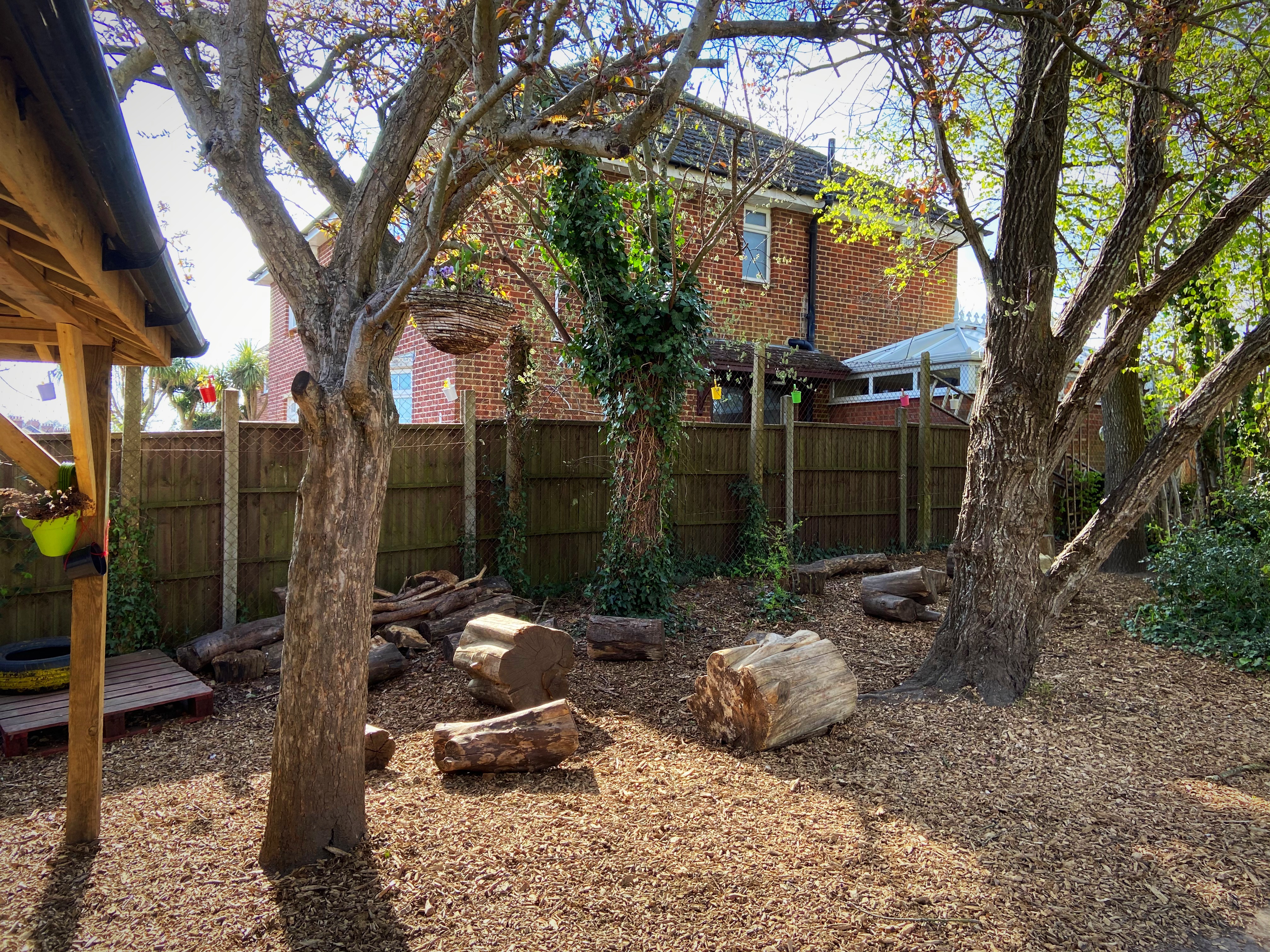 Cabin and woodland area