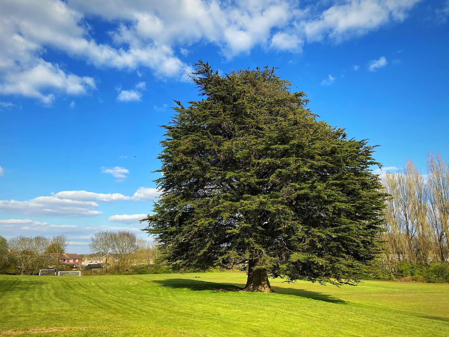 The school grounds have been enhanced and large scale litter picking has been taking place